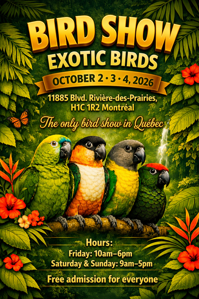 BIRD SHOW 2-3-4 OCT 2026, View more