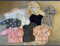 Baby Girl Clothing Bundle 4-12 Months
