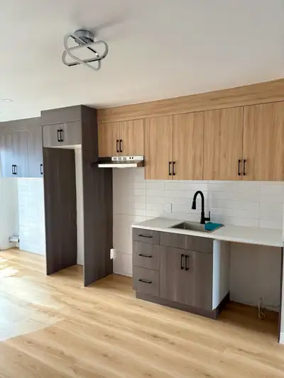5 1/2 A LOUER DANS UN CINQ PLEX 1 IERE ETAGE LAVAL DES RAPIDES 5 MINUTES A PIED DU METRO CARTIER, EC...