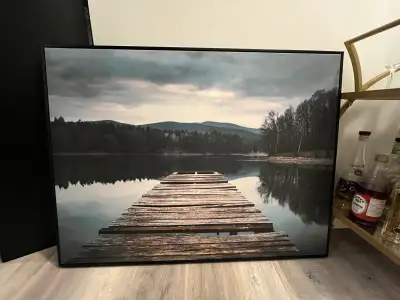 Large canvass style picture from HomeSense. With frame, measures 41 inches long and 31 inches wide.