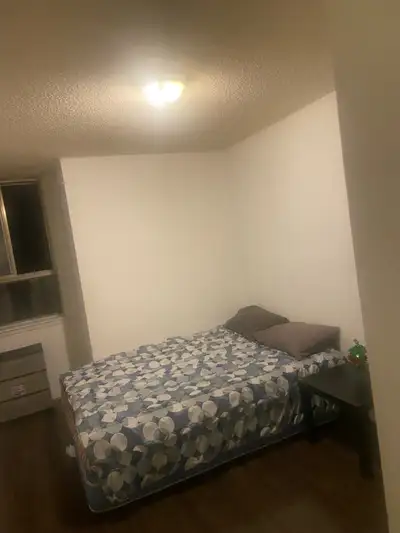 room for rent in a condo furnished avail immediately