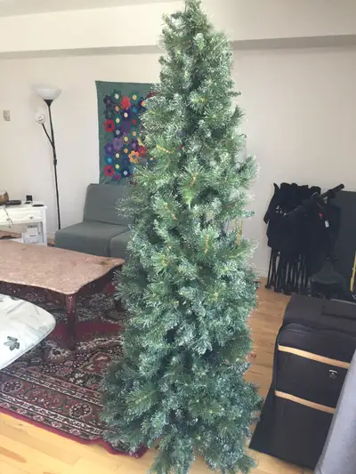 Christmas tree - pine, View more