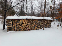 dry firewood