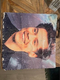 Harry styles sequins Pillow Case 