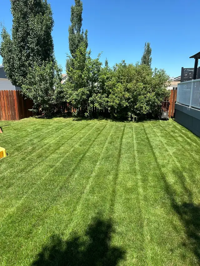 $20 Lawn Mowing & $60 Gutter Cleaning Services 63008304634497122