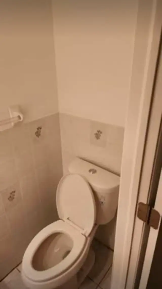 1 room basement for rent.Unfurnished, shared bathrooms/kitchen in Room Rentals & Roommates in Oakville / Halton Region - Image 6