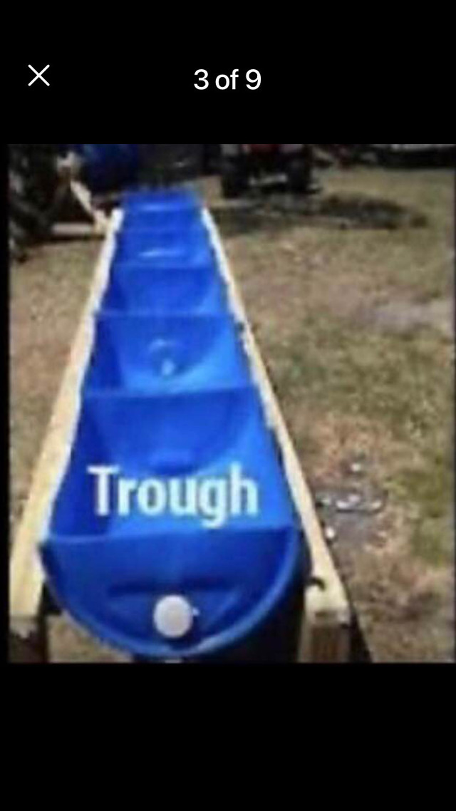 50 gallon food grade rain barrel barrels drums drum Plants