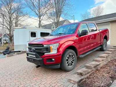 Horse Trailering, View more