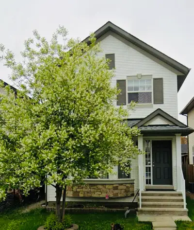 Primary Bedroom for Rent ✅Main floor cozy sleeping area, a private en-suite bathroom, with walk-in c...
