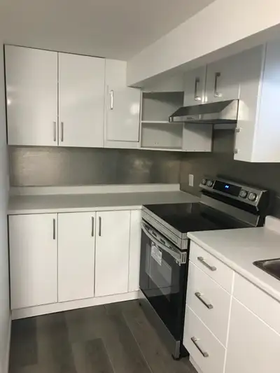Very Spacious, Bright, completely renovated, 3 bedrooms, 1 full bath, in suite washer and dryer, leg...