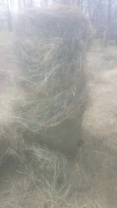 Hay for sale, View more