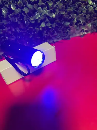UV Ultra Violet Blacklight 9 LED Flashlight Torch Light Outdoors, View more
