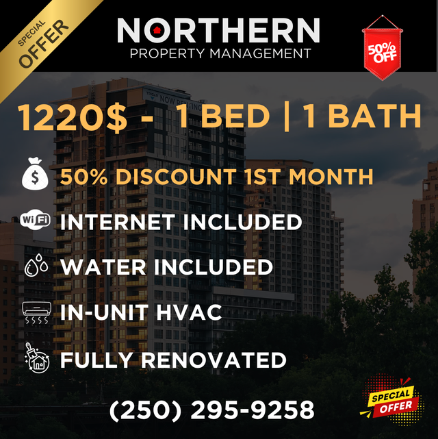 1 Bed 1 Bath Apartment