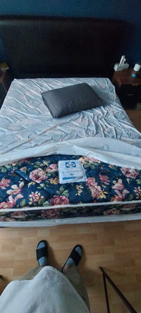 Sealy Royal Comfort firm queen matress like new