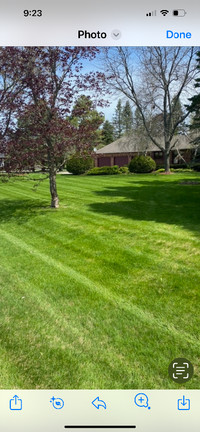 Lawn & Landscaping services