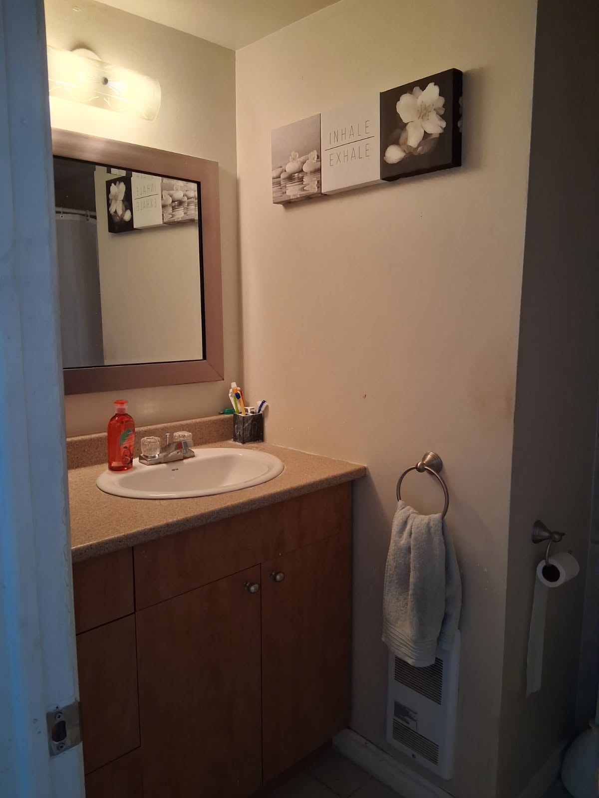 5680 Grande Allée — photo 3