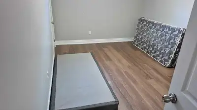 3x Basement Rooms for Rent