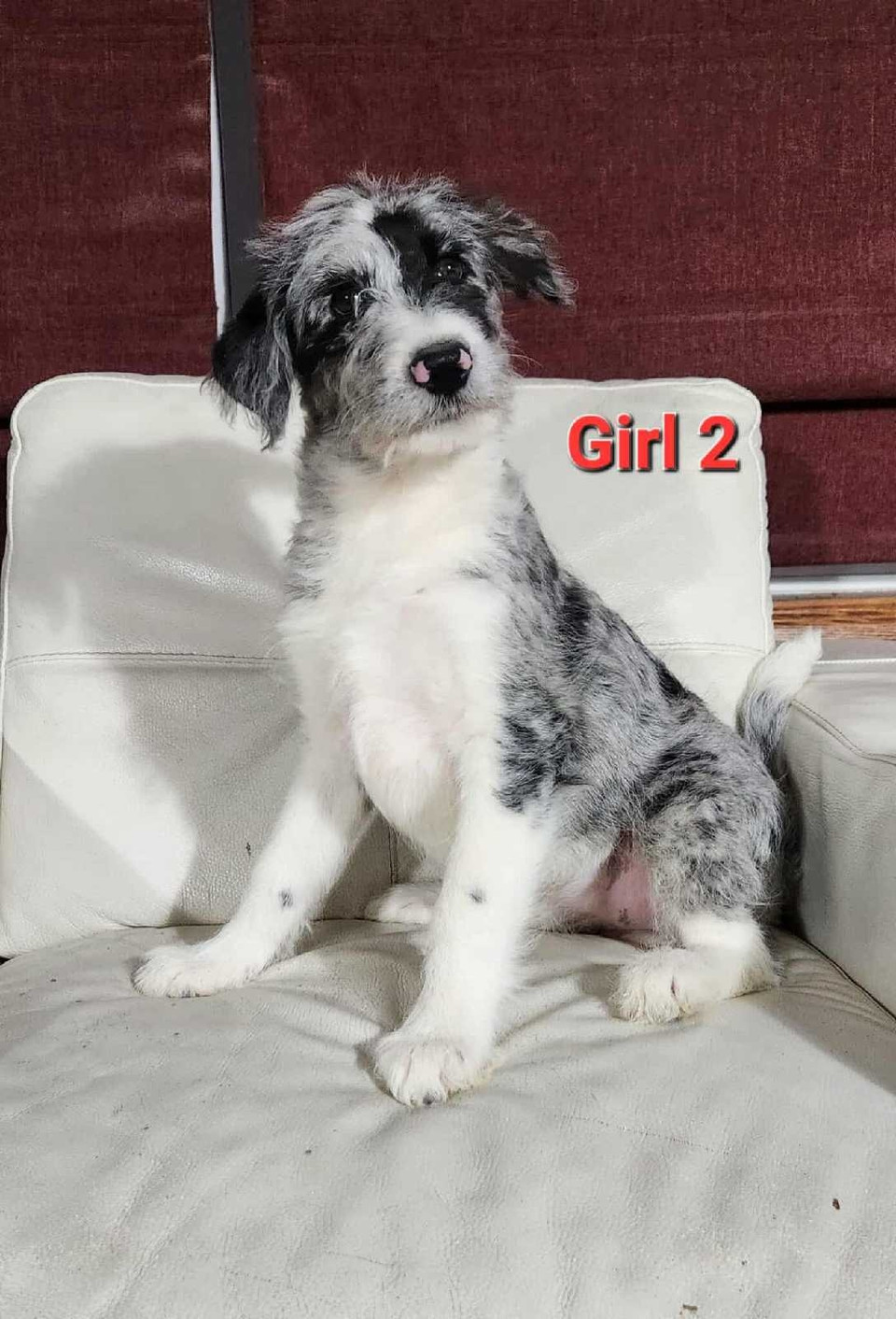 www.kijiji.ca