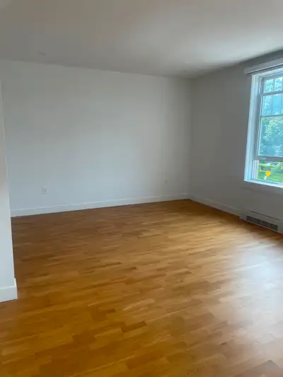 Hiring painters for full time positions, View more