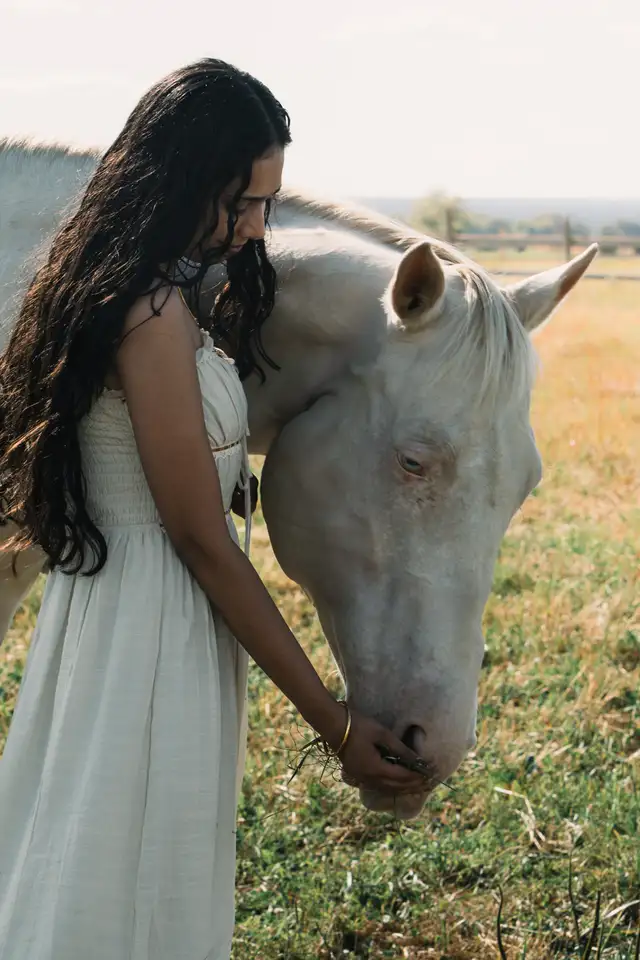 Equine  photographer63417618858883123