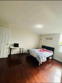 Bright and Sunny room available for rent!
