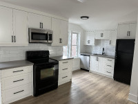 Newly Renovated Stouffville Apartment for Rent - 2 BR/1 BATH