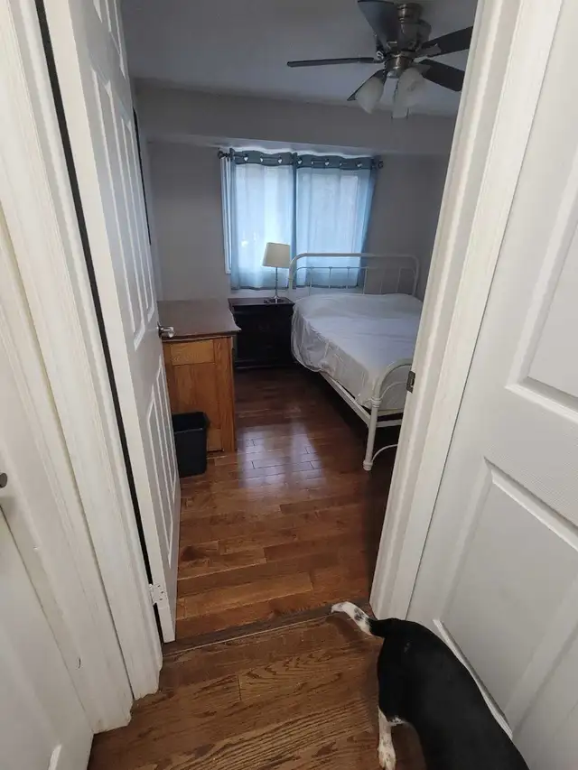 room for rent working females preffered in Short Term Rentals in Ottawa - Image 11