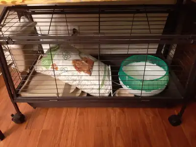 Pet Cage, View more
