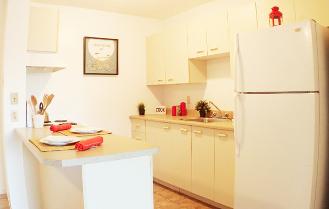 Lennoxville Très grand 4 1/2 - 1eJuin'24/ 2 Bedroom spacious in Long Term Rentals in Sherbrooke