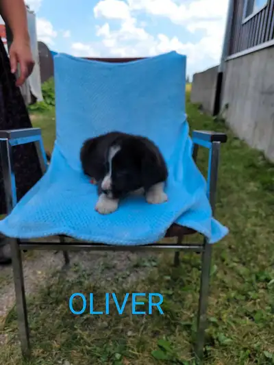 Looking for a new home!, View more
