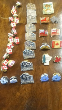 Pin Collections (156 Pins)