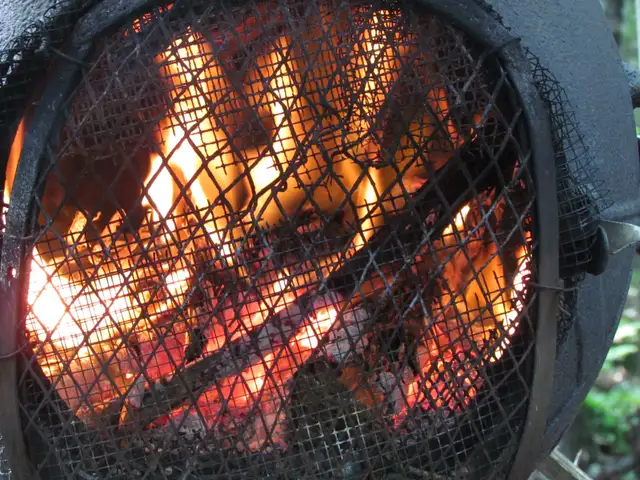 Petit foyer extérieur in Fireplace & Firewood in Trois-Rivières - Image 3