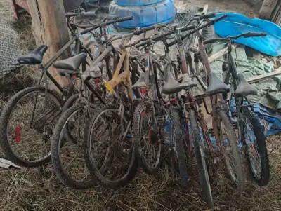 Bicycles (miscellaneous), View more