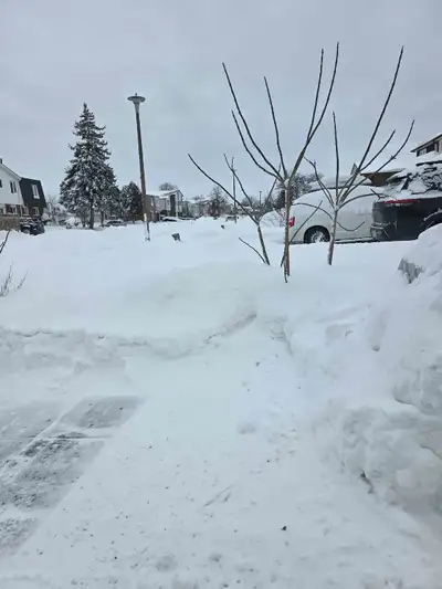 snow move, View more