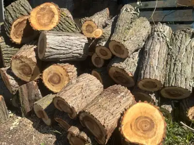 Willow Firewood, View more