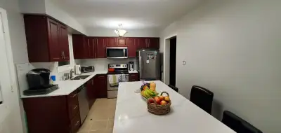 Handyman for Small Repairs - Home or Office, View more