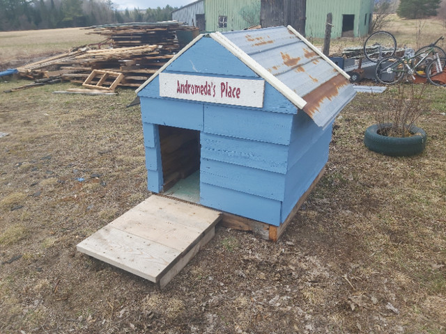 Large dog house for sale in Accessories in Petawawa
