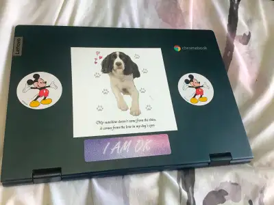 Chromebook, View more