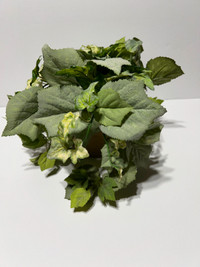 2 - Artificial Ivy Plants in clay pots
