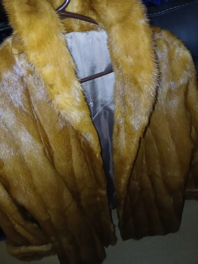 Mink Fur Coat in Women's - Tops & Outerwear in Mississauga / Peel Region - Image 2