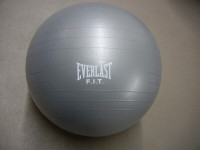Ballon exercice physique Everlast.Chaise bureau cuir poids lourd