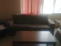 Pull out Couch & Coffee table 