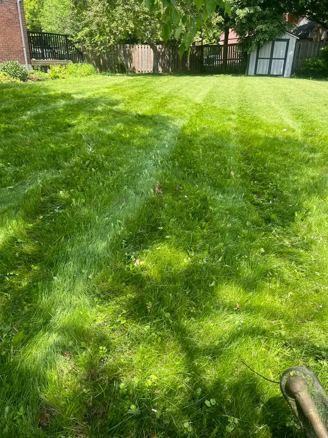 Yard Work Grass Cutting447398231178618881