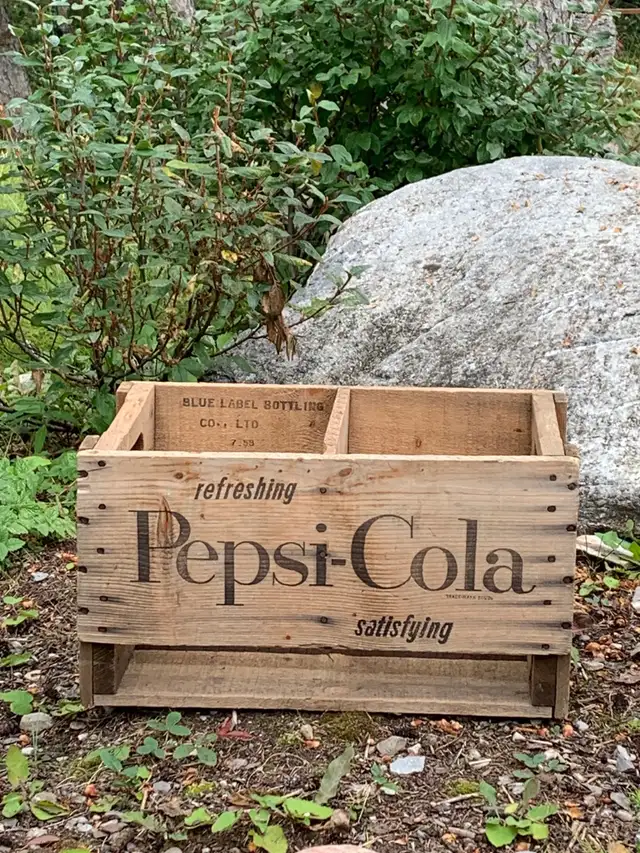 Pepsi Cola Crate64656289698689120