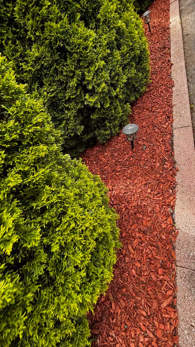 Landscaping, Window Cleaning & Pressure Washing628637226616351220