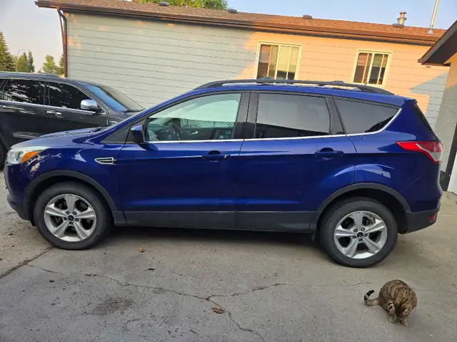 2013 Ford Escape 