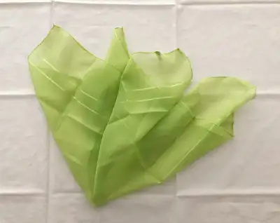 21" Silk Feeling Chiffon Scarf Wrap Green Gift ～ Fast Delivery, View more