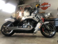 2013 VROD MUSCLE