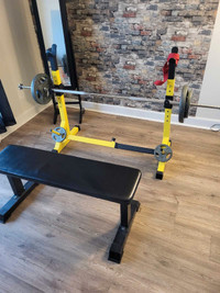 Home gym workout bench 
