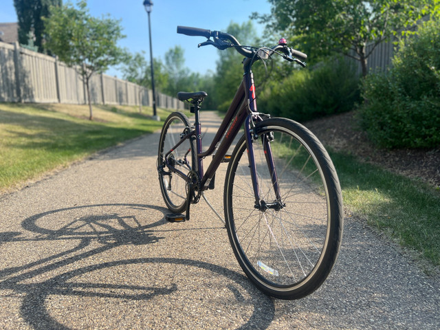 specialized alibi bike